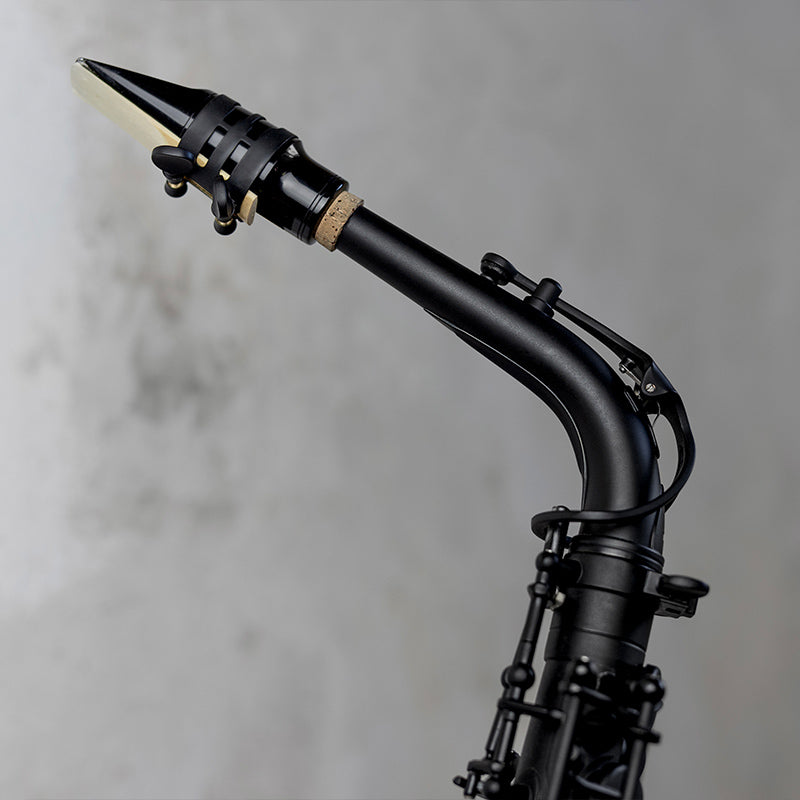 Stalaxy "Eclipse" alto saxophone